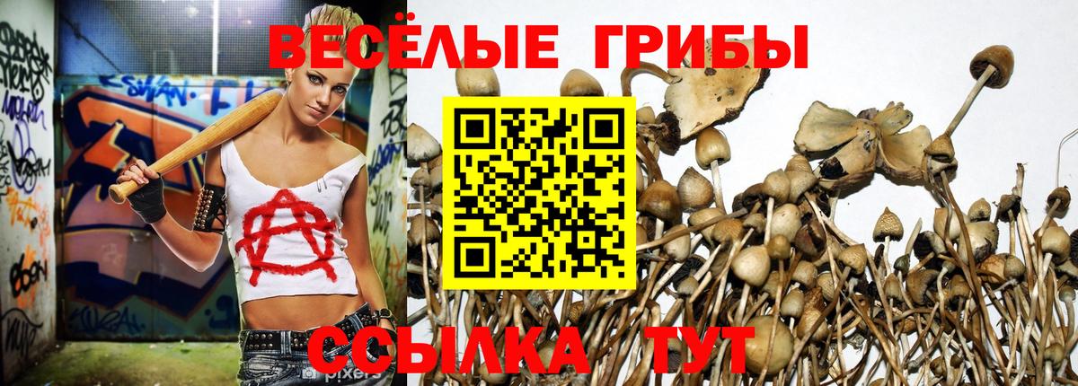 Галлюциногенные грибы Psilocybine cubensis Заречный