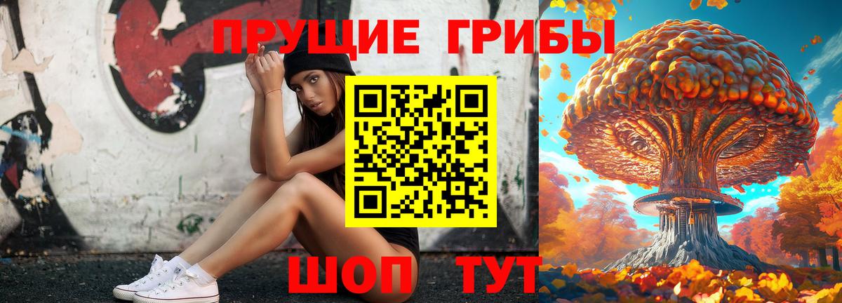 Заречный  Галлюциногенные грибы GOLDEN TEACHER  Галлюциногенные грибы ЛСД  Вход с VPN 